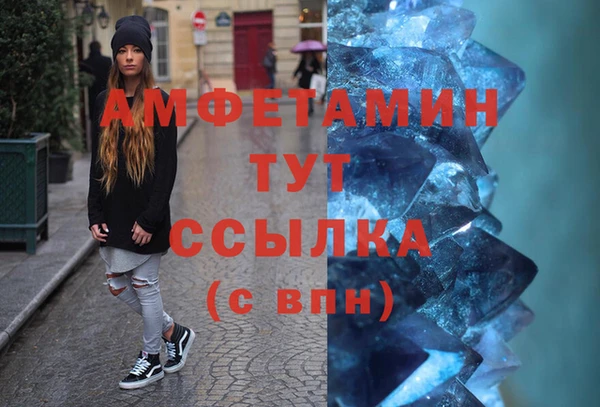 крисы Надым