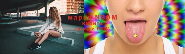шишки Нефтекумск