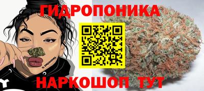 стафф Волжск