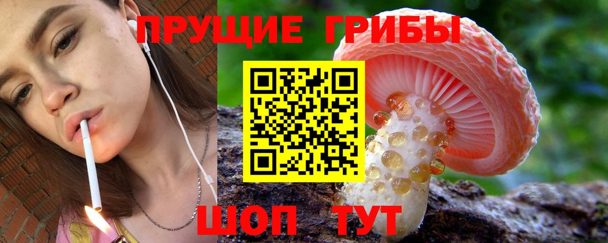 Канск  Псилоцибиновые грибы ЛСД  Псилоцибиновые грибы MAGIC MUSHROOMS  Вход с VPN 
