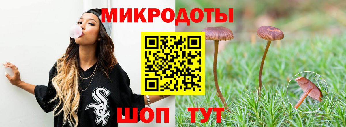 Псилоцибиновые грибы Cubensis Канск
