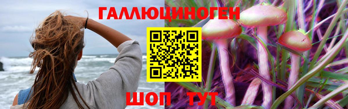 Канабис Канск