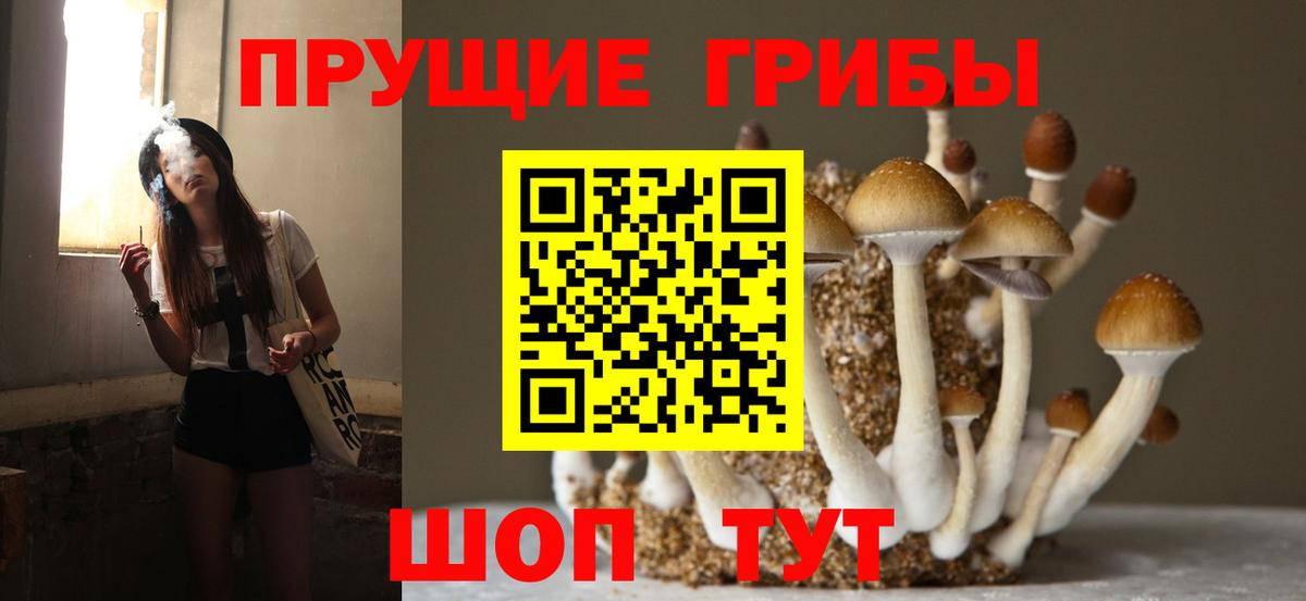 Псилоцибиновые грибы Psilocybine cubensis  Канск 